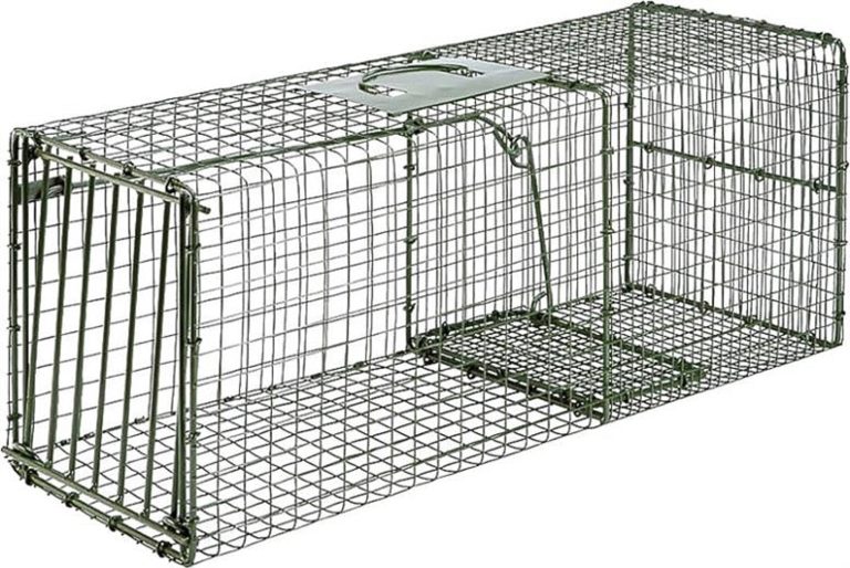 Duke Traps Heavy Duty Large Cage Trap: Professional-Grade Live Capture for Raccoons, Groundhogs, and Feral Cats