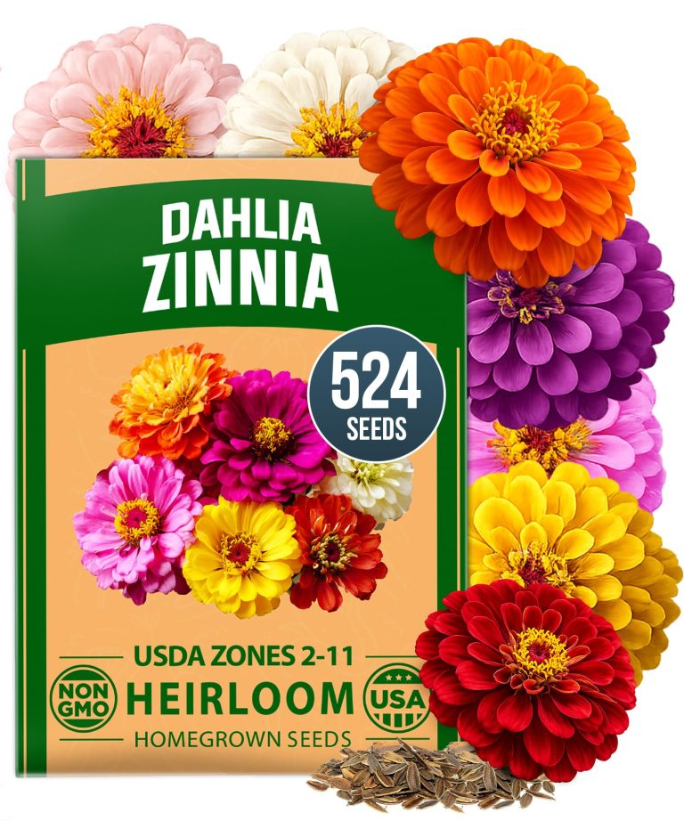 HOME GROWN Zinnia Dahlia Seeds Pack for 2026: A Functional Garden Mix for Pollinator and Border Use